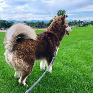 Meet your Posher, Travis